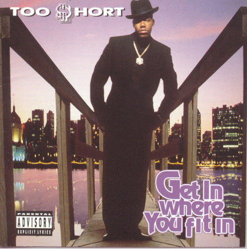 GET IN WHERE YOU FIT IN (1993) - CD