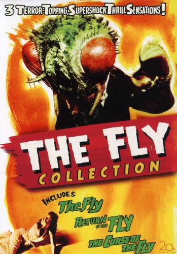 COLLECTION (4 DVD) - DVD
