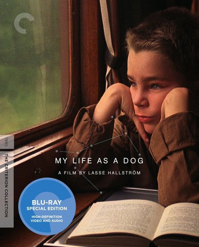 MY LIFE AS A DOG (CRITERION) (BLU-RAY) - BLU-RAY