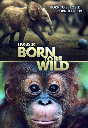 BORN TO BE WILD - DVD