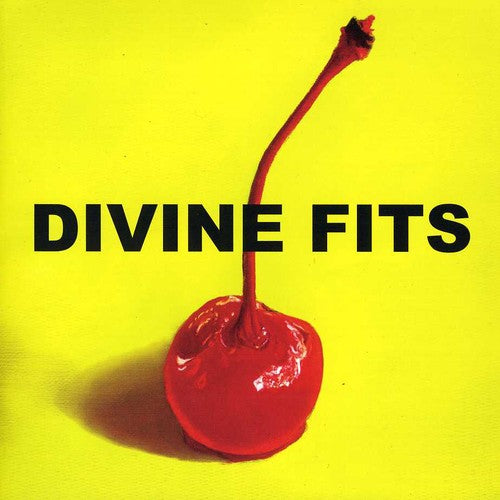 A THING CALLED DIVINE FITS - CD
