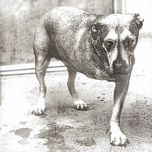 ALICE IN CHAINS (1995) - CD