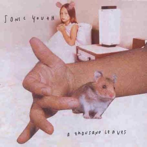 A THOUSAND LEAVES - CD