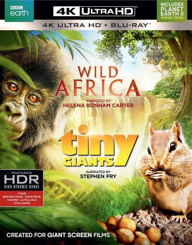 WILD AFRICA/TINY GIANTS (4K-UHD BLU-RAY) - 4K/BLU-RAY