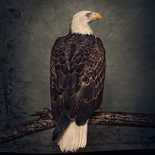 BOOK OF BAD DECISIONS (2018: 2 LP) - VINYL