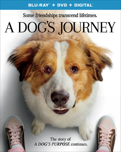 A DOGS JOURNEY (2019: BLU-RAY/DVD) - BLU-RAY