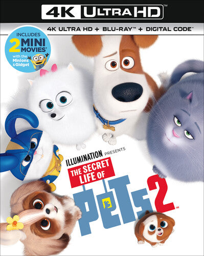 SECRET LIFE OF PETS 2 (4K/BLU-RAY) - 4K/BLU-RAY