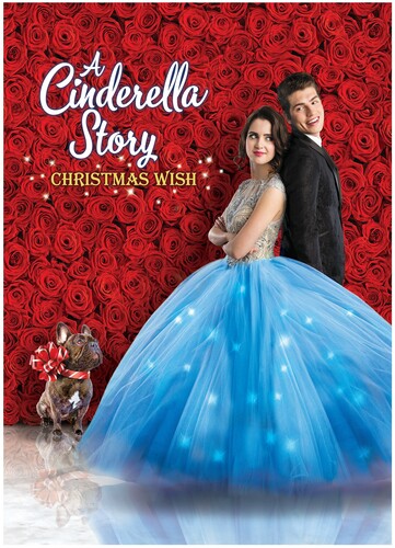 CINDERELLA STORY: CHRISTMAS WISH - DVD