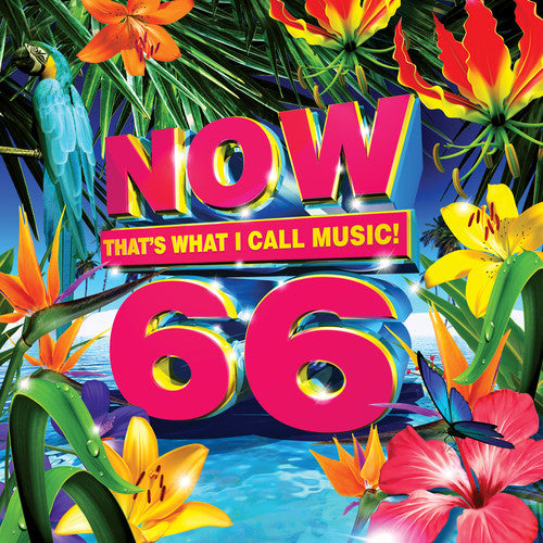 NOW 66 - CD