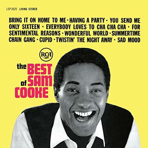 BEST OF: ALBUM (12 TRACKS) - VINYL