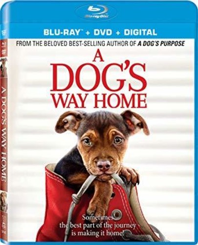 A DOGS WAY HOME (2019: BLU-RAY) - BLU-RAY