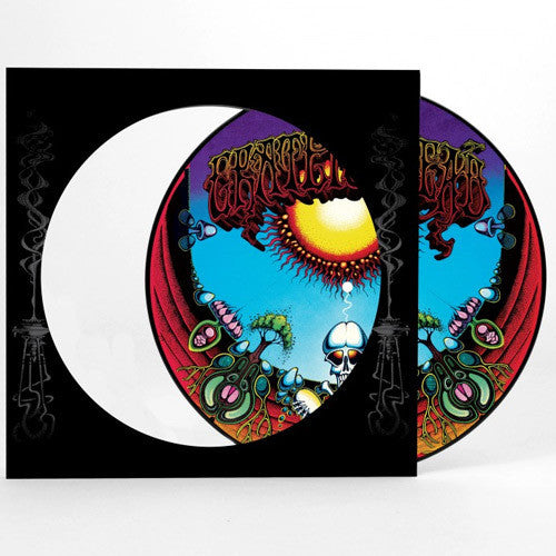 AOXOMOXOA (1969: PICTURE DISC) - VINYL