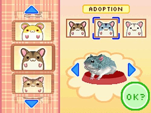 Hamsterz Life - NINTENDO DS
