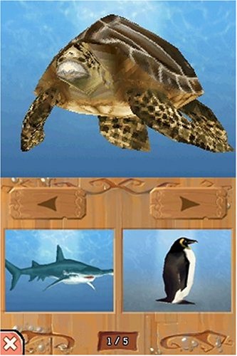 Wild Petz Dolphinz - NINTENDO DS