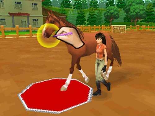 Ener-g Horse Riders - NINTENDO DS