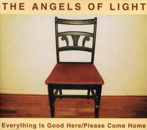 EVERYTHING IS GOOD HERE/PLEASE COME HOME - CD