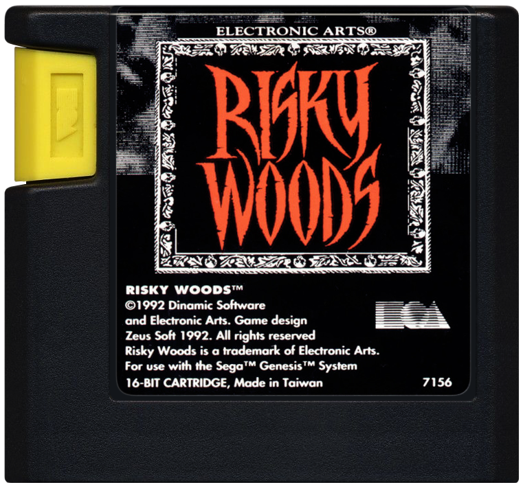 Risky Woods - SEGA GENESIS