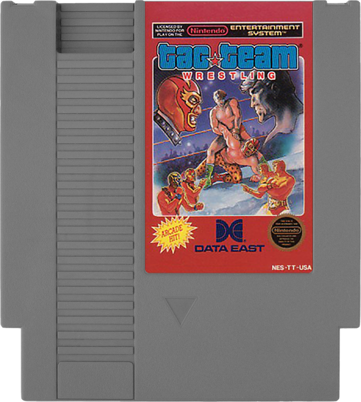 Tag Team Wrestling - NINTENDO 8 BIT