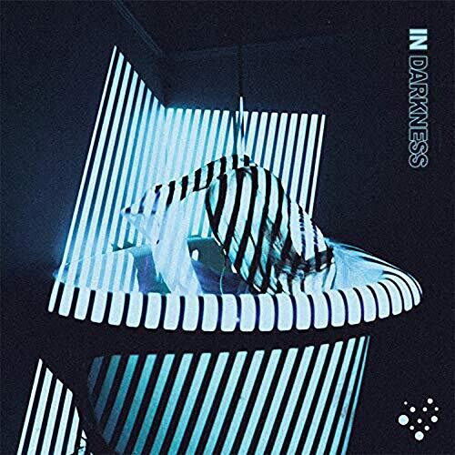 IN DARKNESS (EX-LP) - VINYL