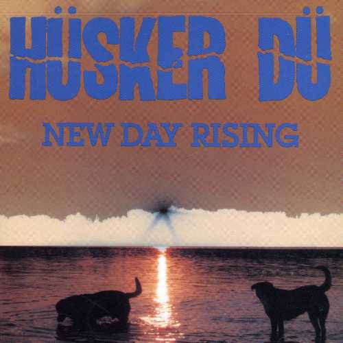 NEW DAY RISING - CD