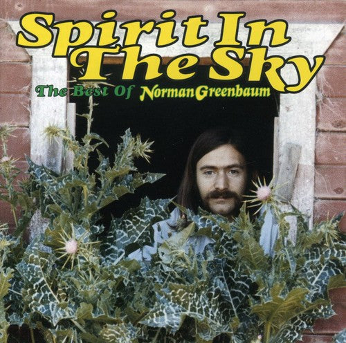 BEST OF: SPIRIT IN THE SKY (15 TRACKS) - CD