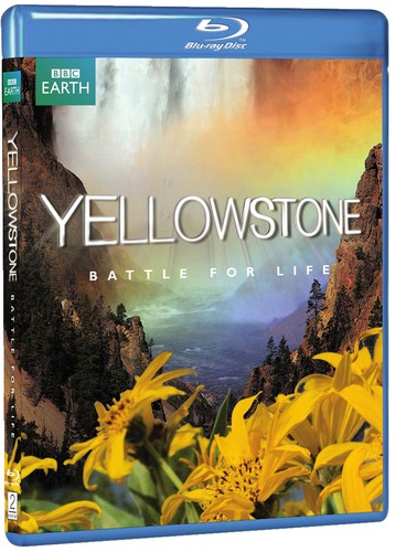 YELLOWSTONE: BATTLE FOR LIFE  (BLU-RAY) - BLU-RAY