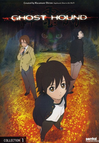 COLLECTION 1 (2 DVD) - DVD