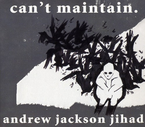 CANT MAINTAIN - CD