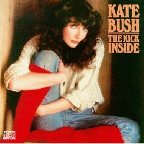 KICK INSIDE (1978) - CD