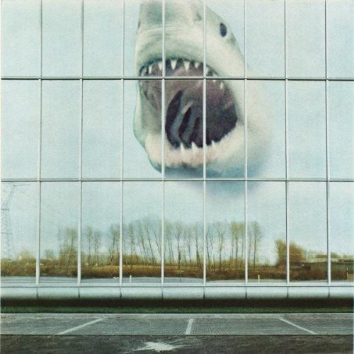 WILDERNESS HEART - CD