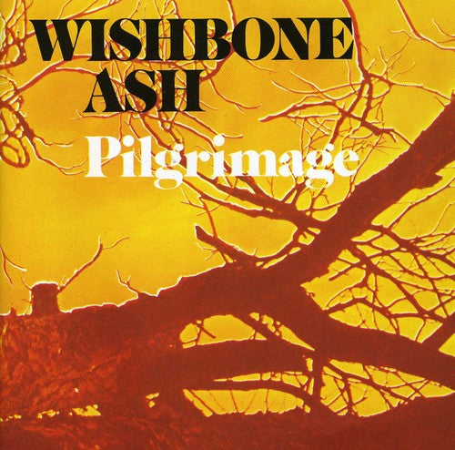 PILGRIMAGE (1971) - CD