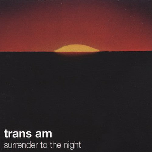 SURRENDER TO THE NIGHT - CD