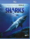 SEARCH FOR THE GREAT SHARKS (BLU-RAY) - BLU-RAY