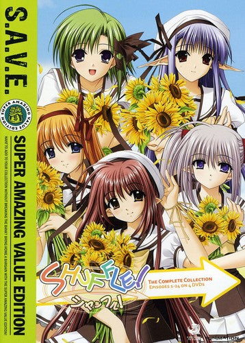 COMPLETE COLLECTION (4 DVD) - DVD – The Exchange Stores
