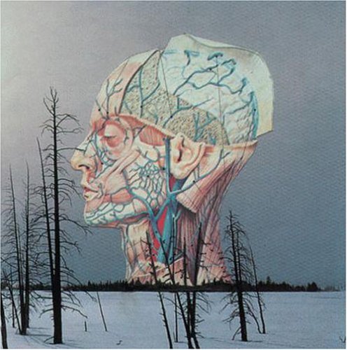 SONGS FOR A DEAD PILOT - CD