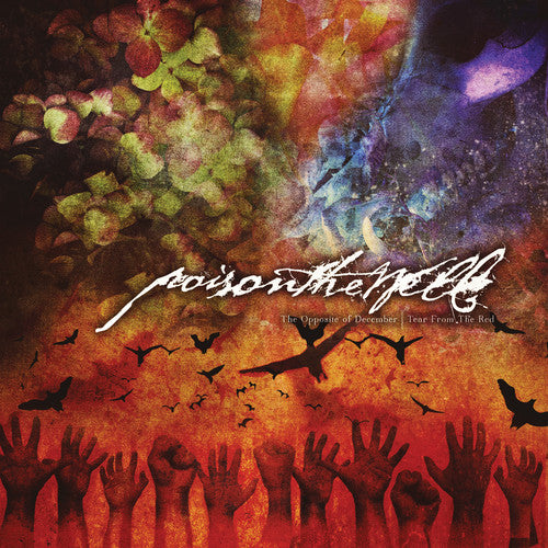 OPPOSITE OF DECEMBER/TEAR FROM... - CD