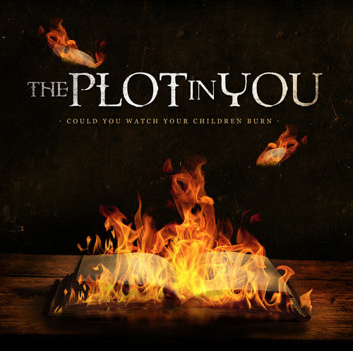 COULD YOU WATCH YOUR CHILDREN BURN - CD