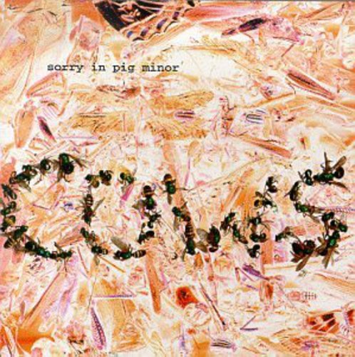 SORRY IN PIG MINOR - CD