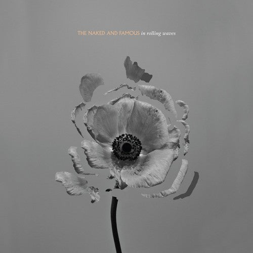 IN ROLLING WAVES - CD