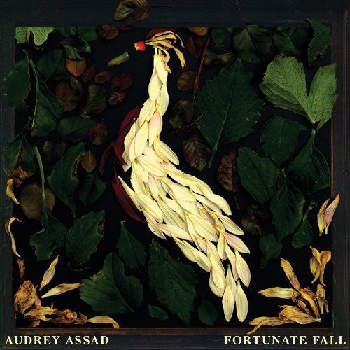 FORTUNATE FALL - CD