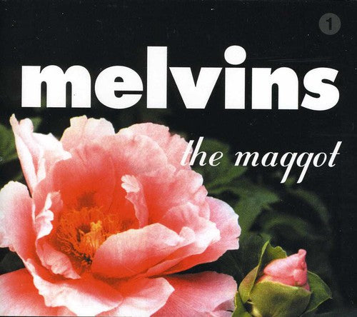 THE MAGGOT - CD