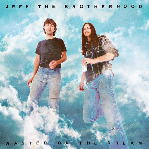 WASTED ON THE DREAM - CD
