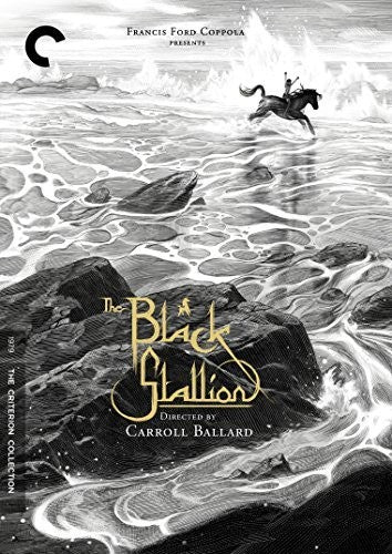 BLACK STALLION (CRITERION: 2 DVD) - DVD