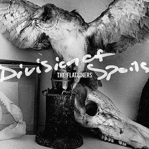 DIVISION OF SPOILS - CD