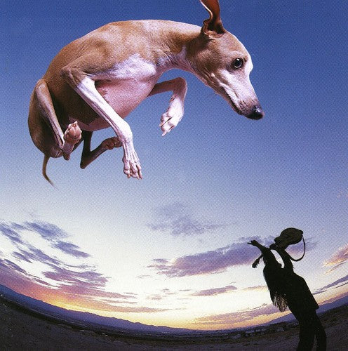 FLYING DOG - CD