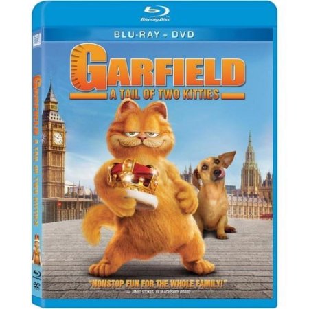 GARFIELD: TALE OF TWO KITTIES (BLU-RAY) - BLU-RAY