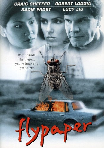 FLYPAPER - DVD