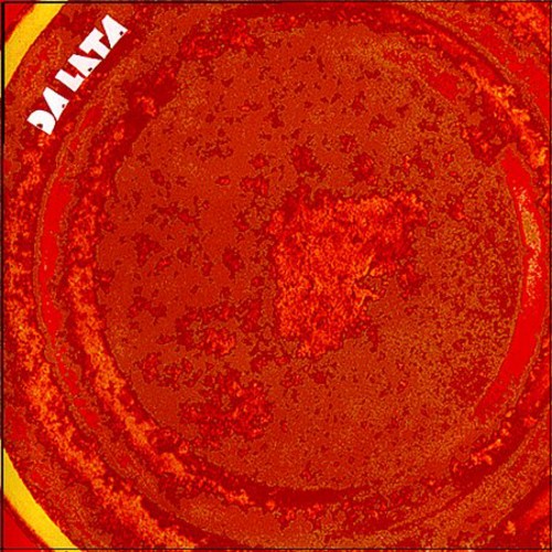 SONG FROM THE TIN - CD