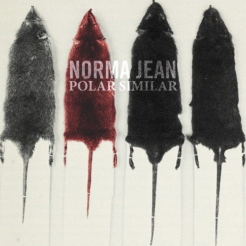 POLAR SIMILAR - CD