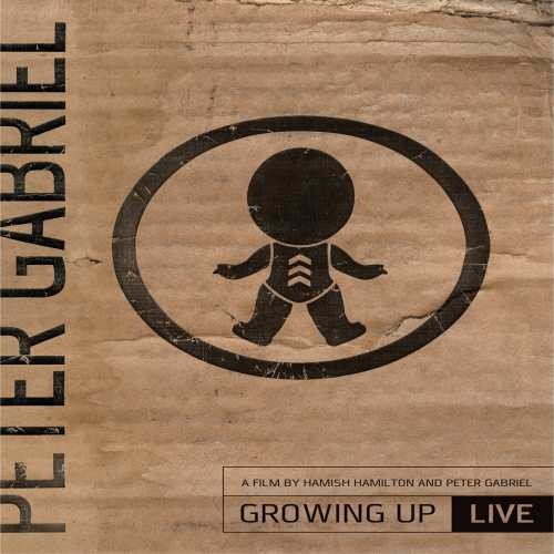 STILL GROWING UP: LIVE & ...: (2 DVD) - DVD